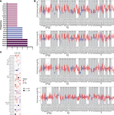 Elevated DNA Polymerase Delta 1 Expression Correlates With Tumor Progression and Immunosuppressive Tumor Microenvironment in Hepatocellular Carcinoma